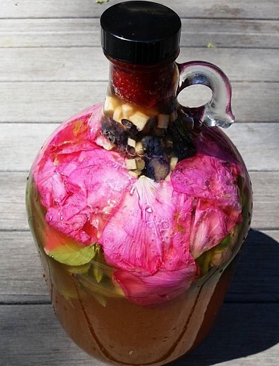 Kombucha second fermentation with local foraged rosa rugosa, blueberries, ginger, strawberry