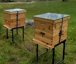 Beehive installation includes equipment, bees